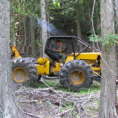 Skidding logs out | Handcrafted Timber Accents | Handcrafted Wood LLC