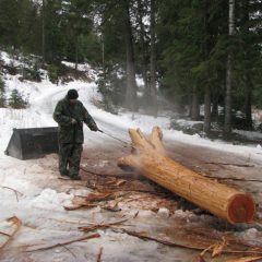 A pressure washer removes the bark from cedar logs | Handcrafted Timber Accents | Handcrafted Wood LLC