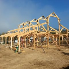 Most of the timbers are up! | Timber Frame Barn | Handcrafted Wood LLC