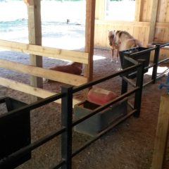 Handmade steel railing | Custom Timber Frame Miniature Horse Barn | Handcrafted Wood LLC