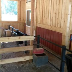 Walkway | Custom Timber Frame Miniature Horse Barn | Handcrafted Wood LLC