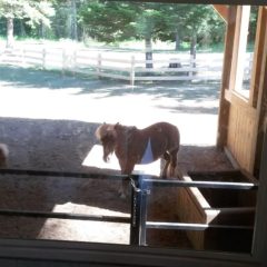 Mini | Custom Timber Frame Miniature Horse Barn | Handcrafted Wood LLC